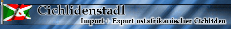 Cichlidenstadl