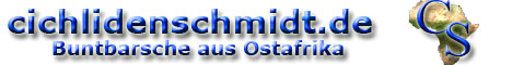 CS-Banner 1